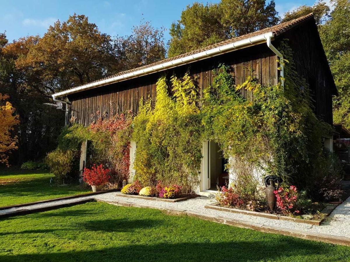 Gite Pigerot Lucbardez-et-Bargues Exterior foto
